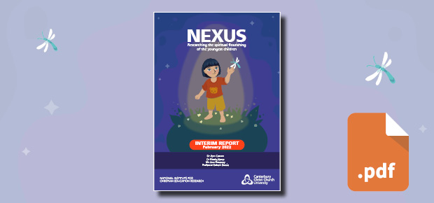 Front cover of the interim report